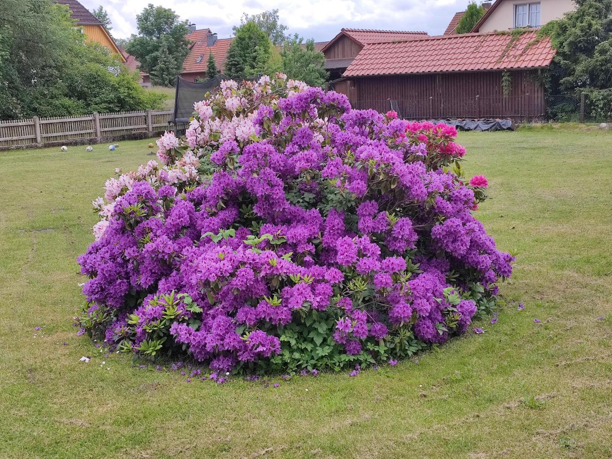 Ferienwohnung An Der Wassermuehle In Hermannsburg Exterior foto